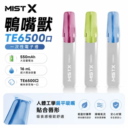 MISTX 鴨嘴獸 TE6500 一次性電子煙｜沙士/龍井/芭樂等10種口味｜16ml 6500口 陶瓷網紋芯 免充電