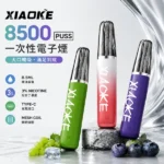梟客 XIAOKE 8500口 口紅款 拋棄式電子煙｜20種口味 8.5ml  MESH網狀芯 氣流可調